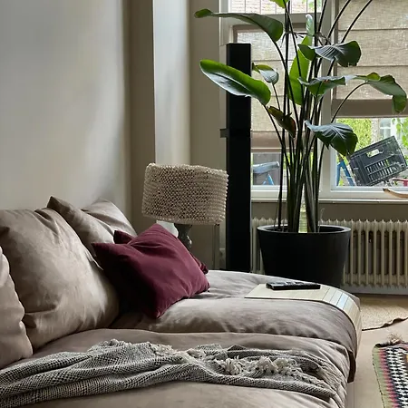 Stylish * Sunny * Cosy House דירה