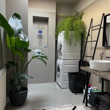 Stylish * Sunny * Cosy House דירה *