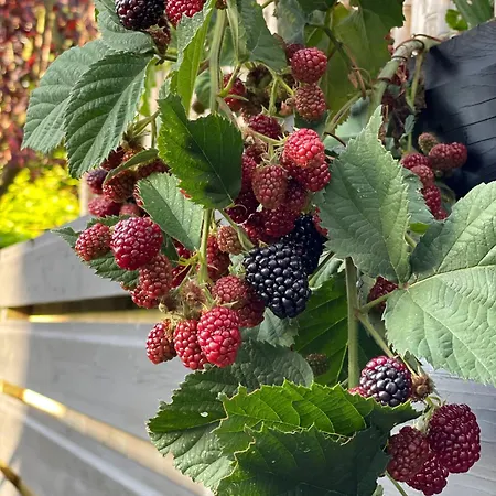 Stylish * Sunny * Cosy House